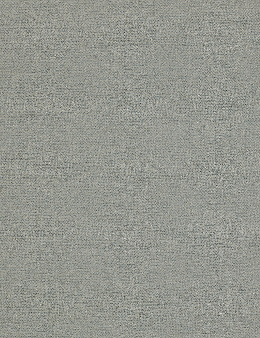 Ткань Colefax and Fowler Magnus Checks F4240/04