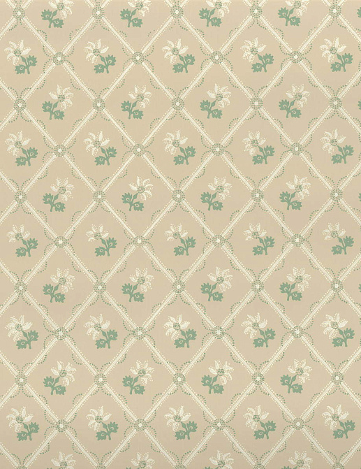 Обои Hamilton Weston Paradise Archive Collection PADW03