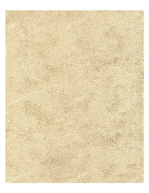 Обои Osborne & Little Wallpaper Album IV W5224-06