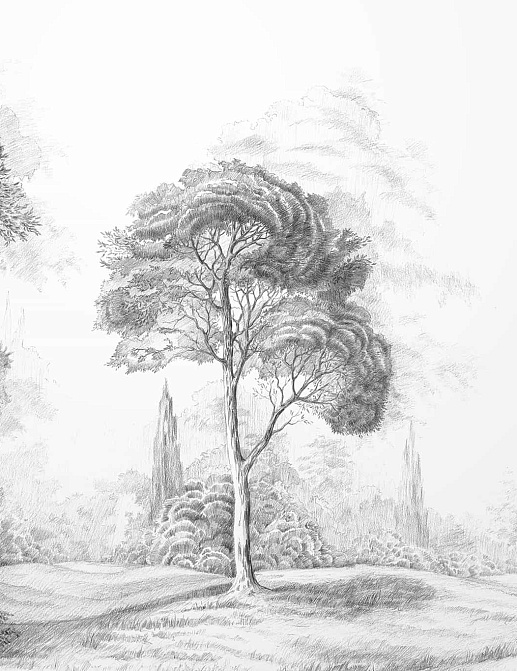 Обои Yana Svetlova Wallcoverings Art Prints ROYALFOREST-GREY