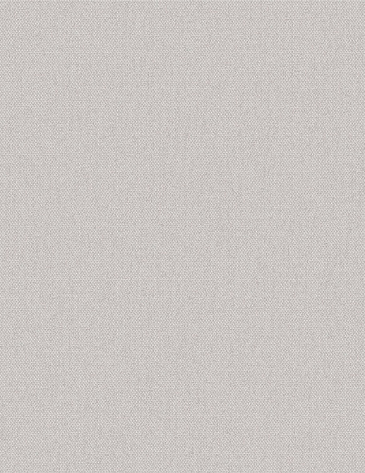 Обои Brewster Evolution 5 BWE05620