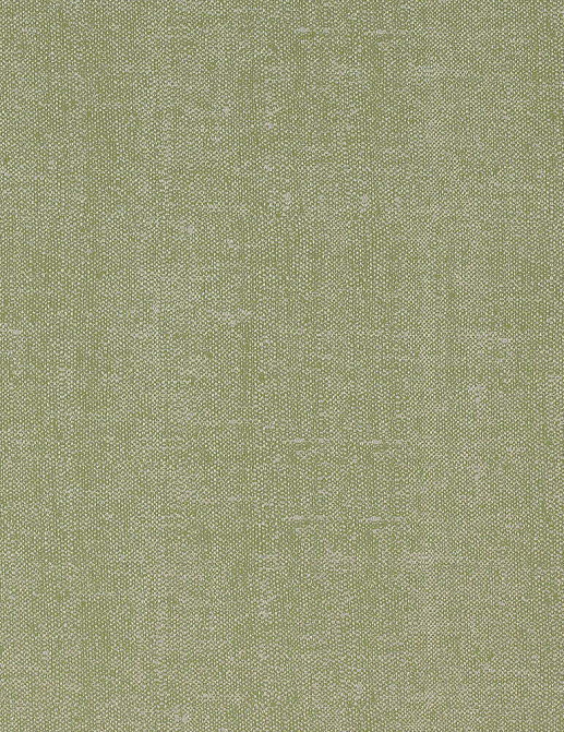 Ткань Thibaut Indoor Outdoor Portico W80002
