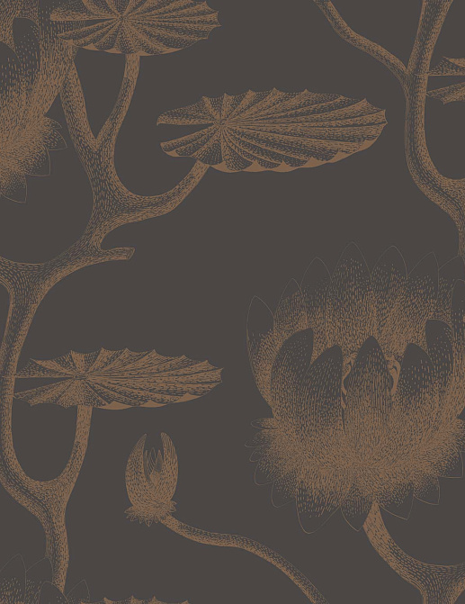 Обои Cole & Son Contemporary Restyled 95/4021