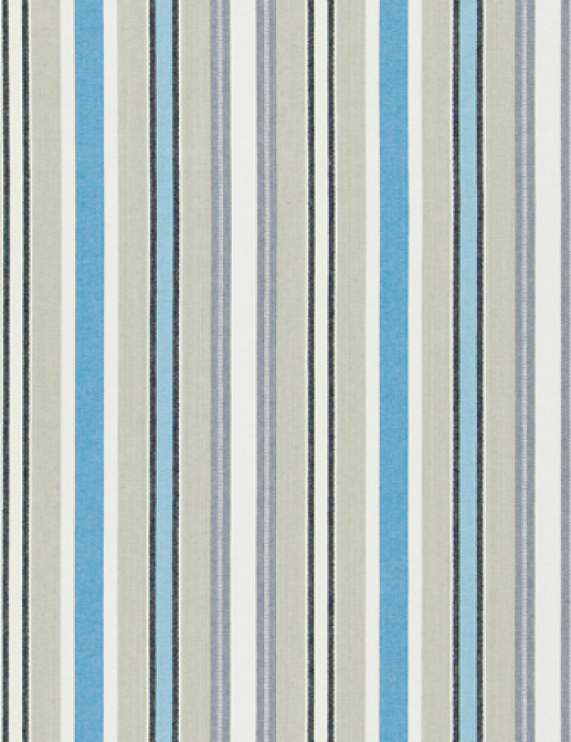 Ткань Designers Guild Tickings F1908/04