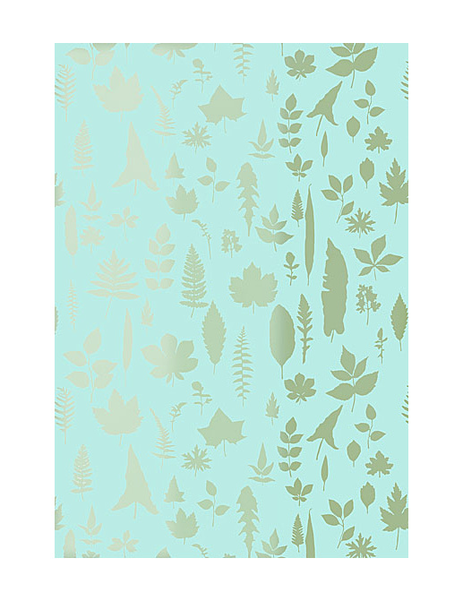 Обои Schumacher Modern Nature 5005022
