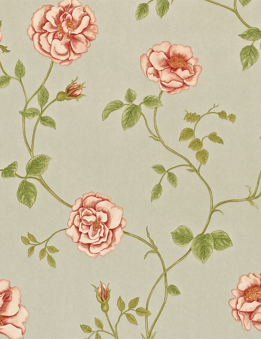 Обои Sanderson Wallpapers from a Painters Garden DAPGRO103
