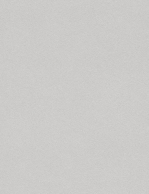 Обои Rasch B.B. Home passion V 479447