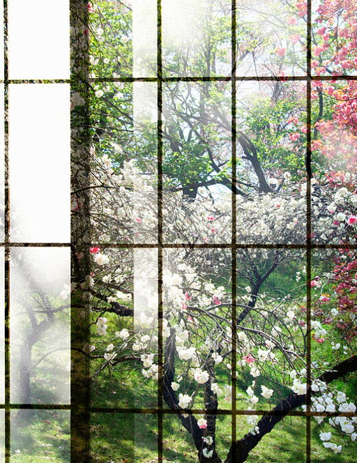 Панно и фотообои A. S. Creation Living Walls - Walls by Patel 2 DD113735