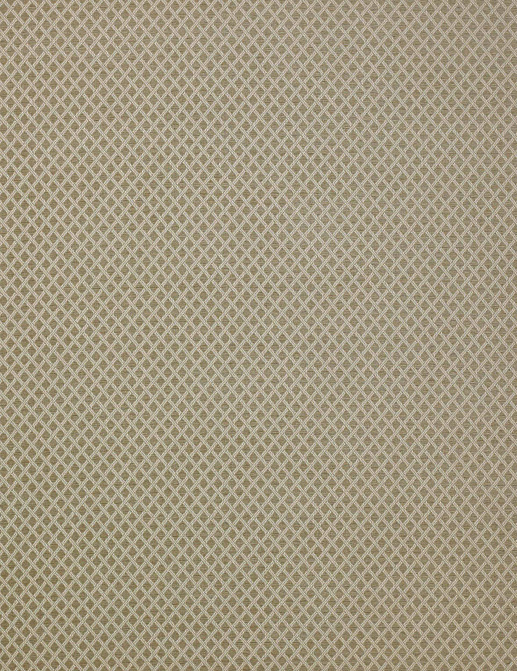 Ткань Colefax and Fowler Shaw F4336/03