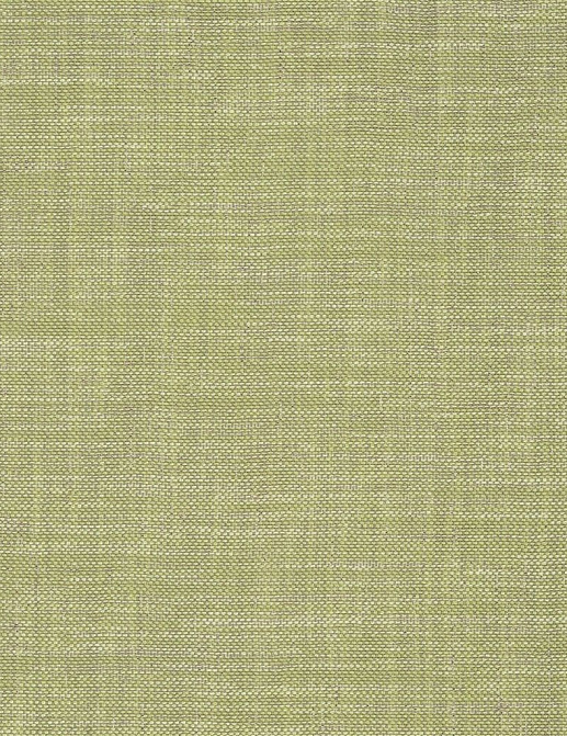 Ткань Designers Guild Cosia FDG2267/07
