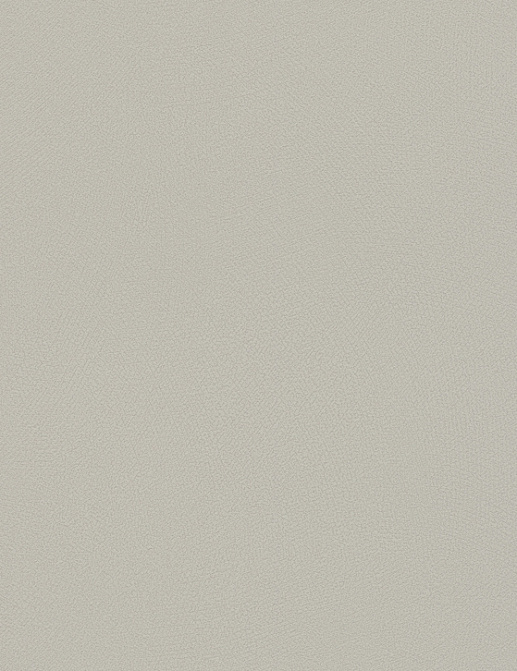 Обои Rasch Blue Velvet 610093