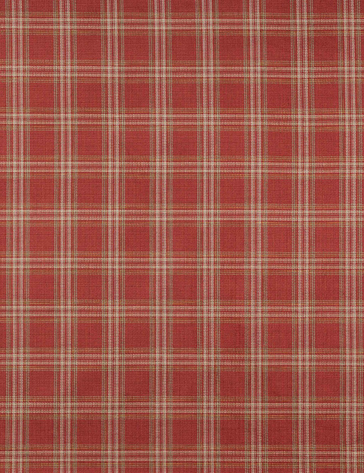Ткань Colefax and Fowler Magnus Checks F4723/02