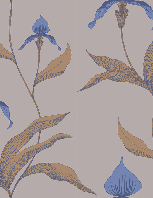 Обои Cole & Son New Contemporary 66/4032