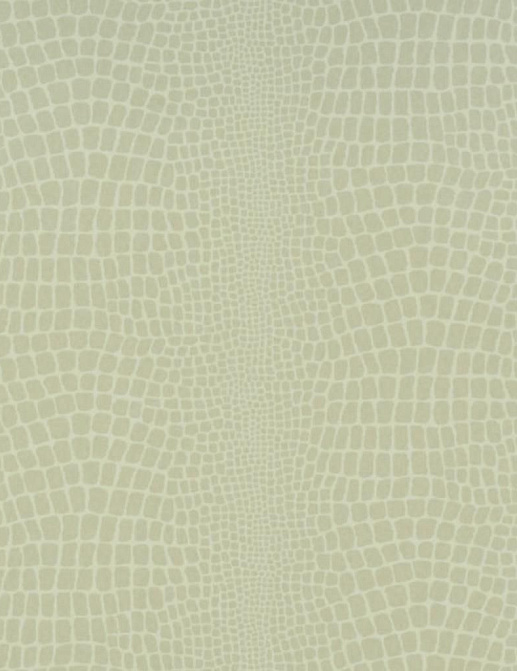 Обои Designers Guild Naturally III P544/03