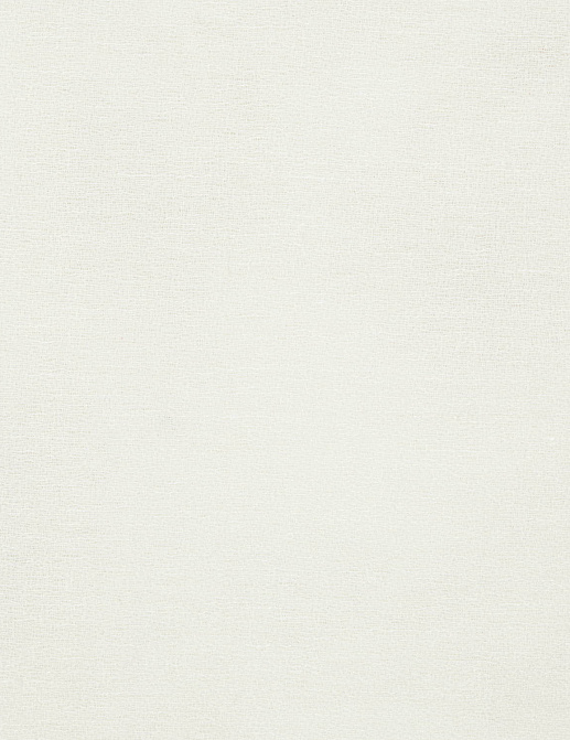 Ткань Nobilis Voiles de Lin XXL №2 10703.01