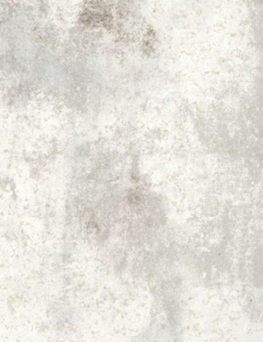 Обои Fresco Elegant SZ001474