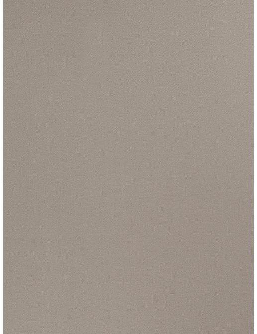 Ткань Trend Multipurpose Sleek Satin Vol.II 02022/Mushroom