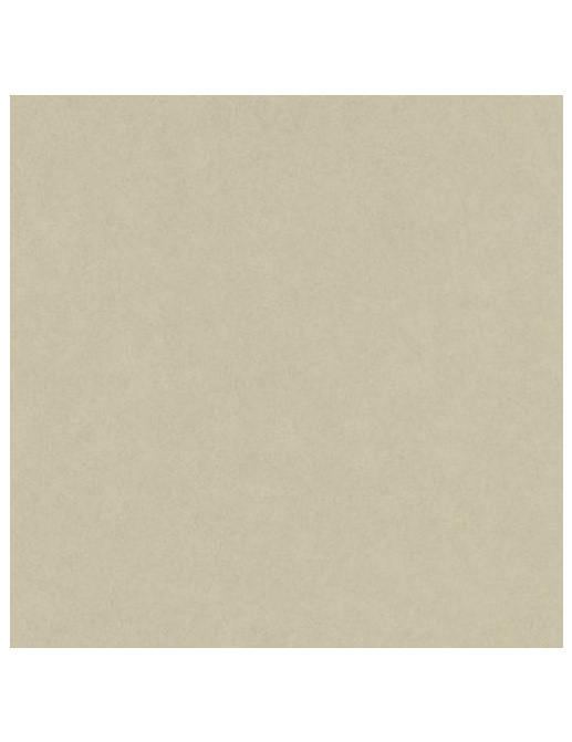 Обои Architector Plains & Textures 1430300