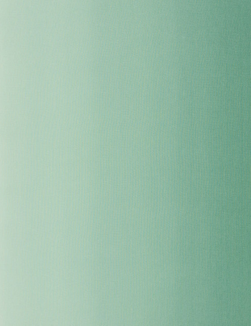 Ткань Designers Guild Padua F1987/04