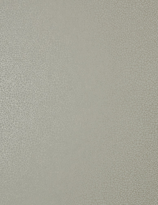 Обои 1838 Wallcoverings Elodie 1907-141-04