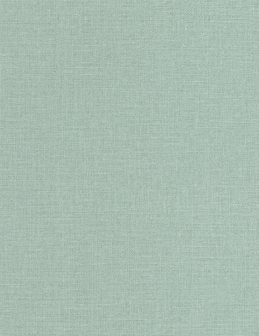 Обои Caselio Jute JTE104017569