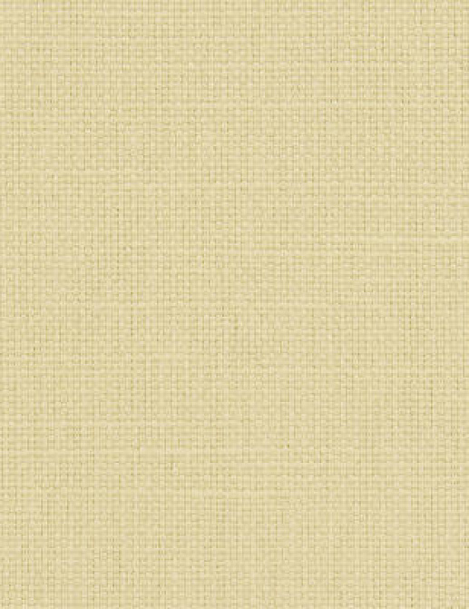 Ткань Designers Guild Salso F1797/05