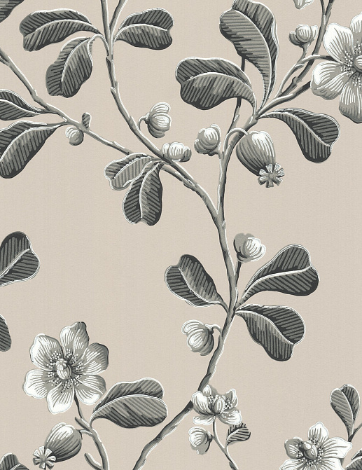 Обои Little Greene London Wallpapers IV 0277BRMONOZ