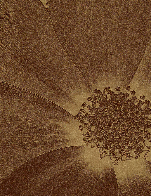 Панно и фотообои Italreflexes Macro Flower-013/Gold