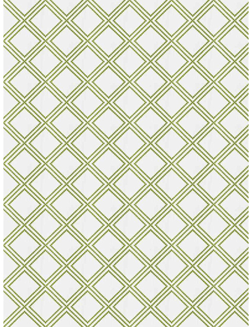 Ткань Trend Echo Citrus/Coral 05151/Kiwi