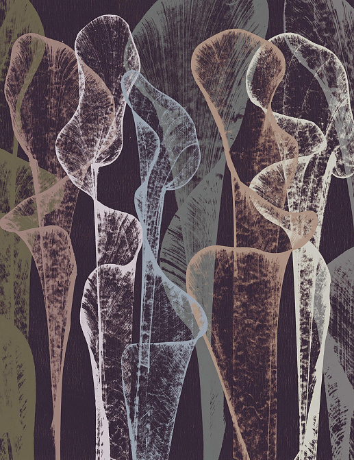 Обои Wall & Deco Contemporary Wallpaper Collection WDTR2102