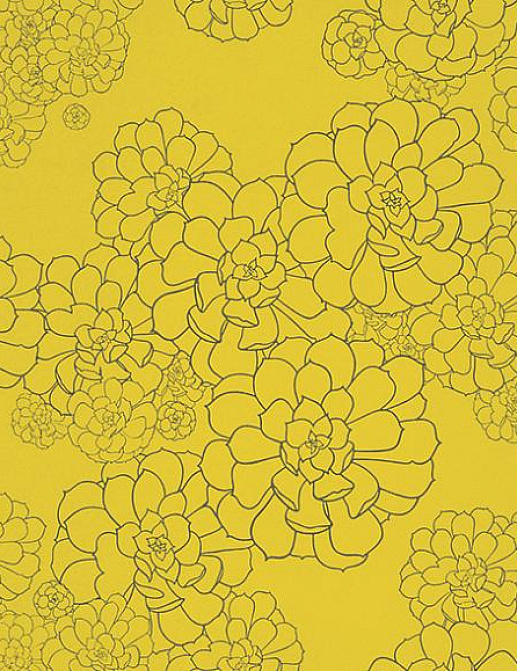 Обои Paint & Paper Library Tresco Aeonium Gamboge