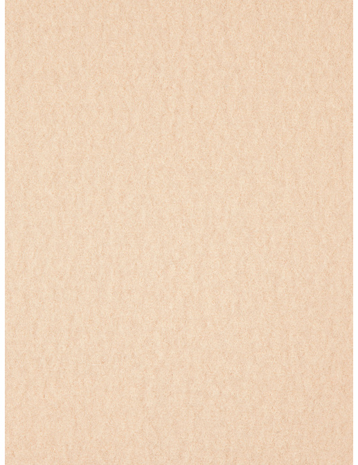 Ткань Holland & Sherry Boiled Wool DE10108