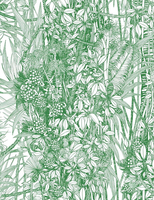 Обои Pierre Frey Jungle FP402001