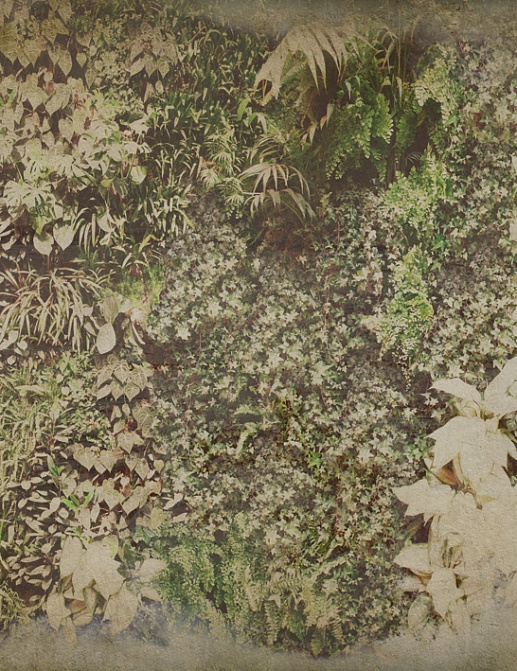 Панно и фотообои Wall & Deco 2015 WDVG1503