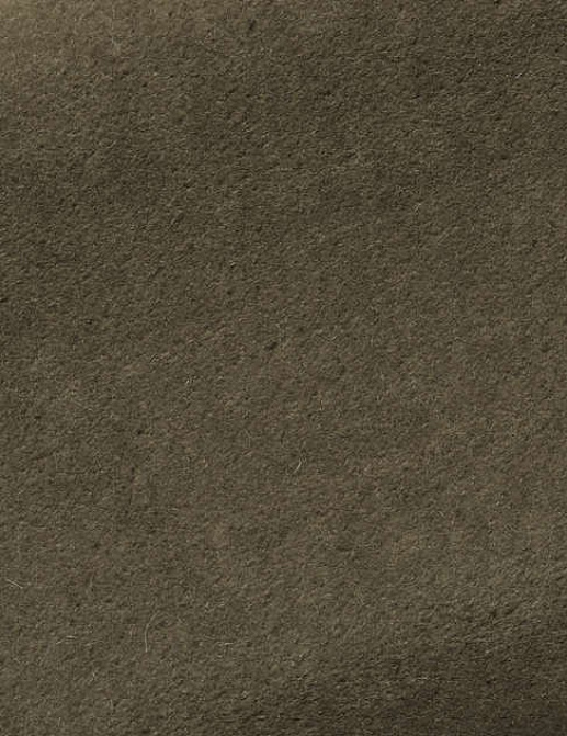 Ткань Pierre Frey Teddy Mohair F2500028