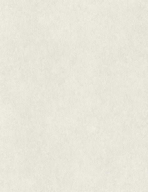 Обои Rasch Wall Textures XL Vol3 957303