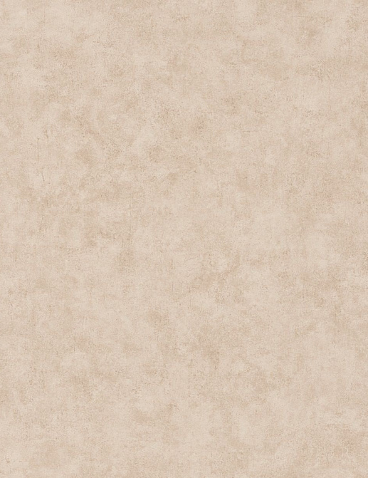 Обои Caselio Beton 101481156