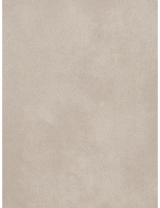 Ткань Fabricut Color Studio Vol.VIII Linen Hoss/Taupe