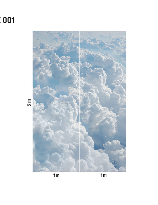 Панно и фотообои Loymina Illusion DSE-001