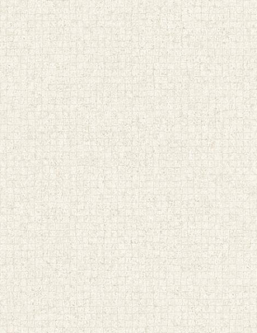 Обои Grandeco Textured Plains TP1304