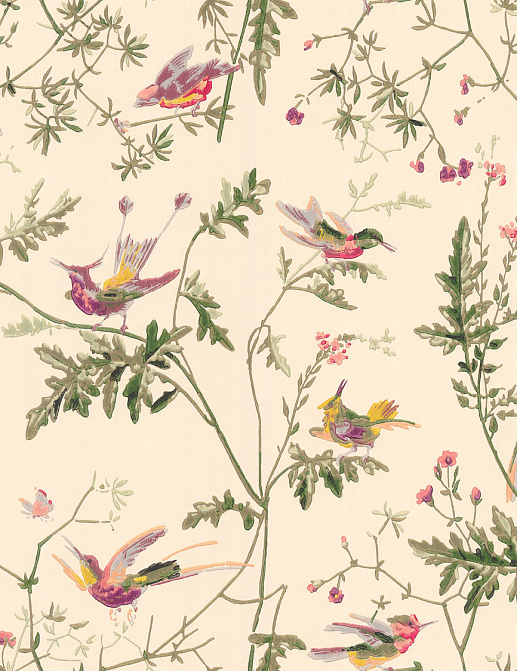 Обои Cole & Son Collection of Flowers 62/1001