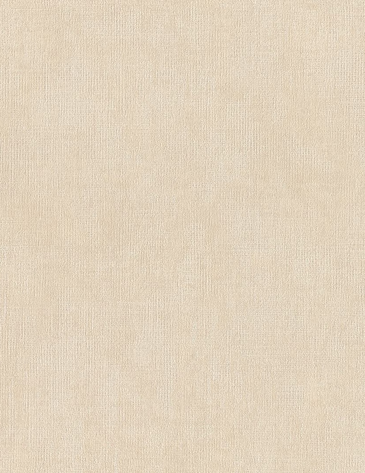 Обои Rasch Настенные структуры. Том 4 / Wall Textures XL Vol. 4 941425