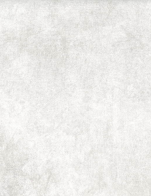 Обои Jannelli & Volpi JV 104 Lithos 7644