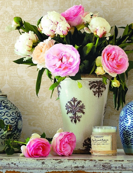 Обои Aquarelle Wisteria Cottage CW21307