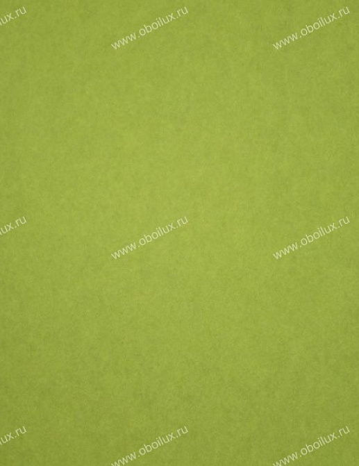Обои Casadeco Botanic BTC12347121