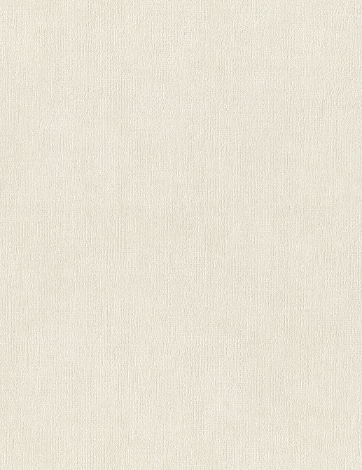 Обои Rasch Настенные структуры. Том 4 / Wall Textures XL Vol. 4 941449