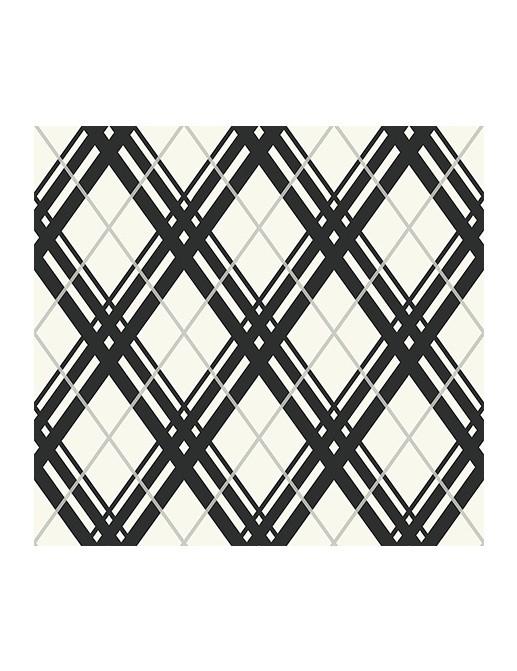 Обои Paper & Ink Black And White BW22010