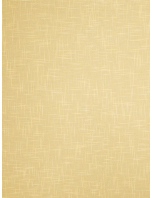Ткань Fabricut Textured Sheers Vol.II Parchment Dunlap/Stone