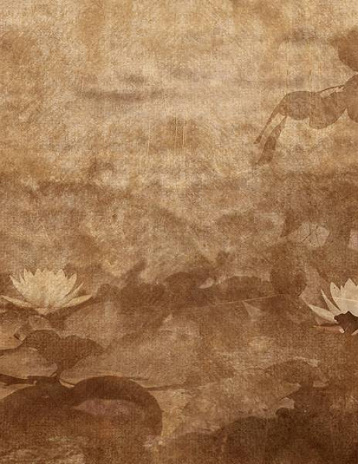 Панно и фотообои Skinwall Suite Collection 738B
