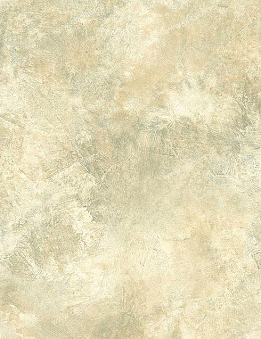 Обои Chesapeake Natural Living NL58291